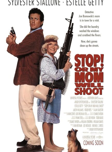 دانلود صوت دوبله فیلم Stop! Or My Mom Will Shoot