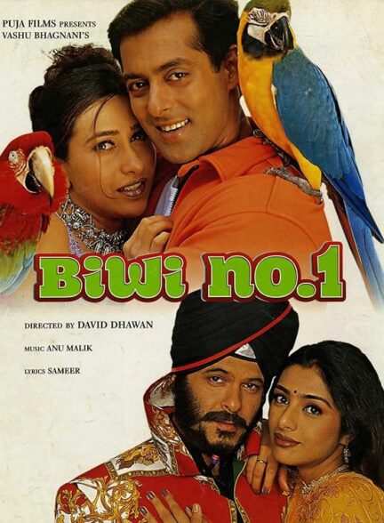 دانلود صوت دوبله فیلم Biwi No. 1