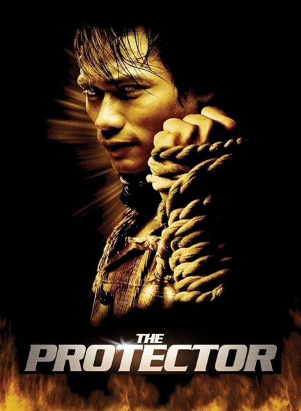 دانلود صوت دوبله فیلم The Protector 2005