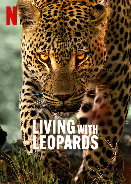 دانلود صوت دوبله فیلم Living with Leopards