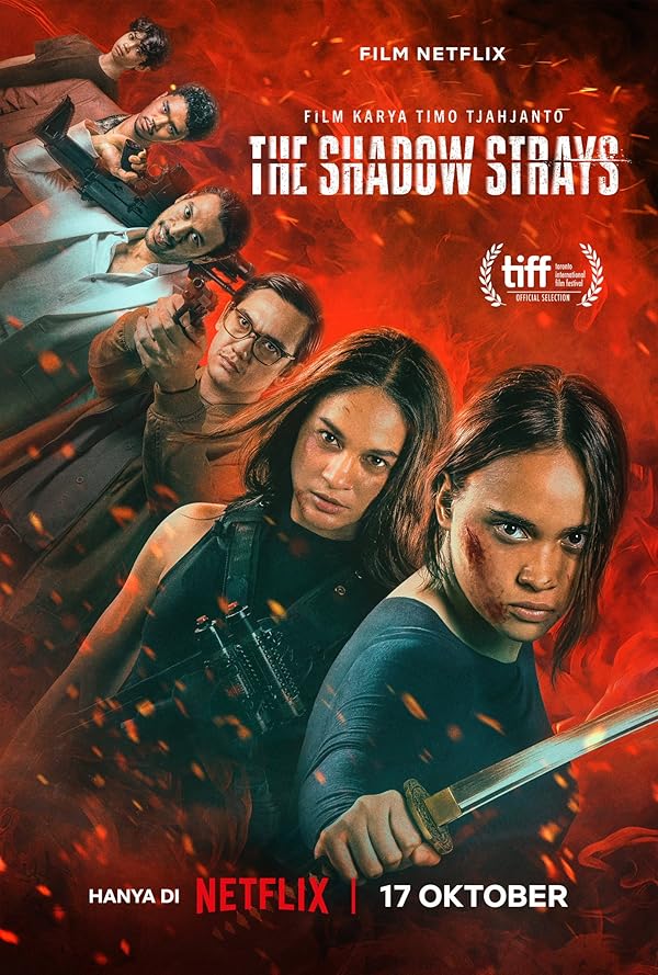 دانلود صوت دوبله فیلم The Shadow Strays