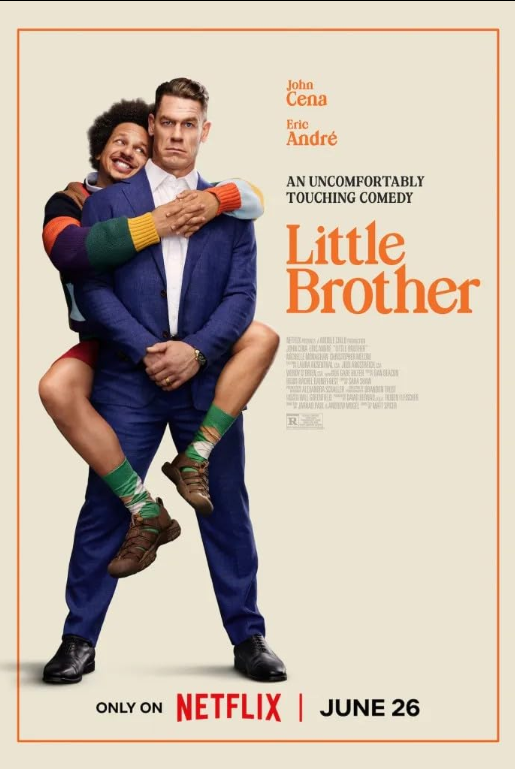 دانلود صوت دوبله فیلم Little Brother